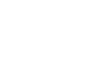 BR-Logo-wht-2